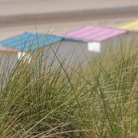 Daire Duinenhof 18 With Parking By Interhome *