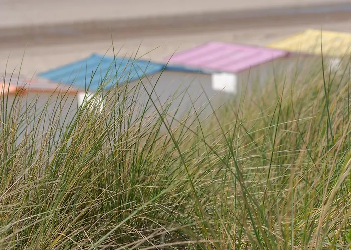 Lägenhet Duinenhof 18 With Parking By Interhome *